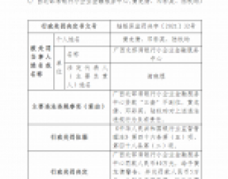广西北部湾银行小企业金融服务中心及下属支行领两张罚单 合计被罚100万元