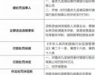 重庆九龙坡民泰村镇银行被罚90万元