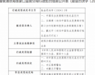 农发行张北县支行被罚45万：因违规办理由财政资金担保及还款的贷款业务